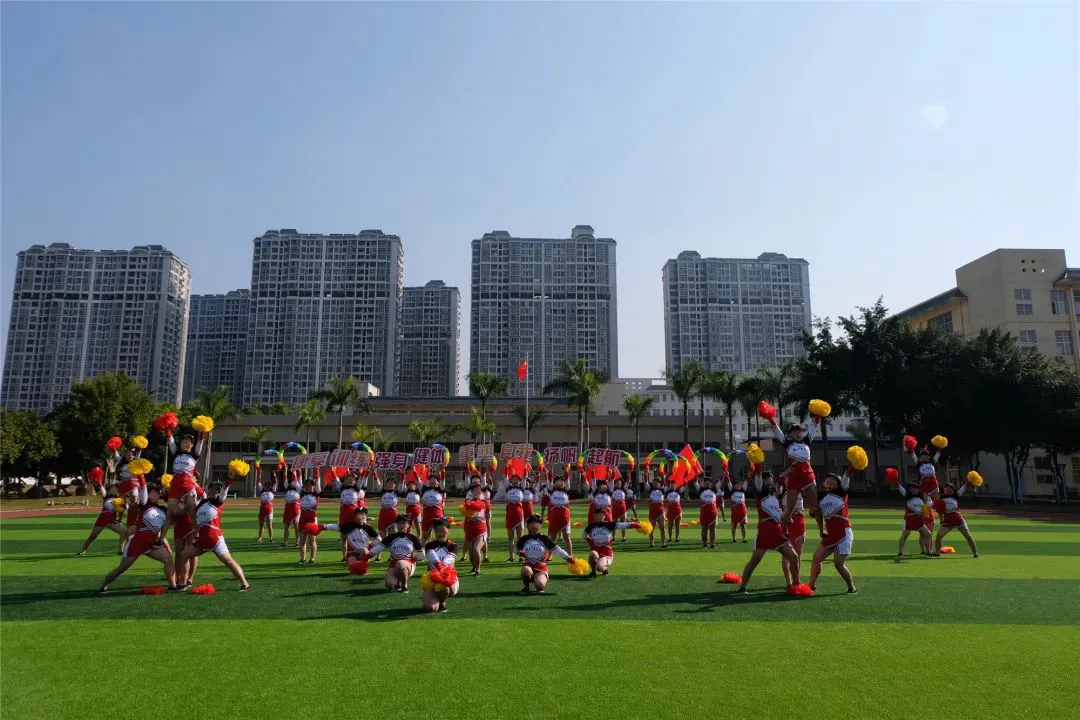 哪里可以找到篮球训练的模范案例_1